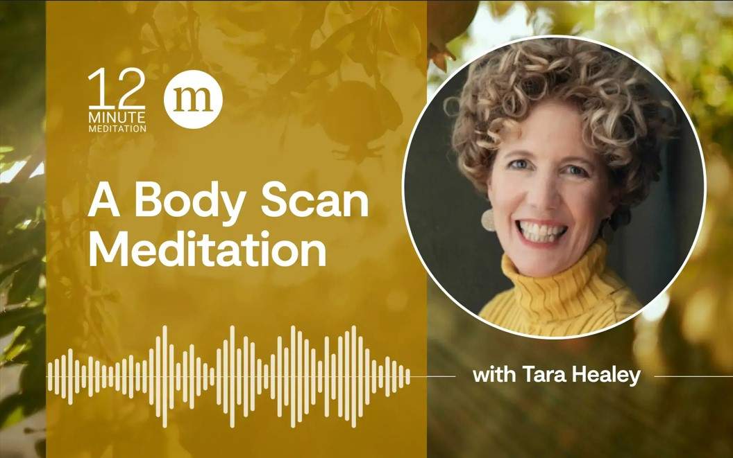 12 Minute Meditation podcast logo featuring Tara Healey