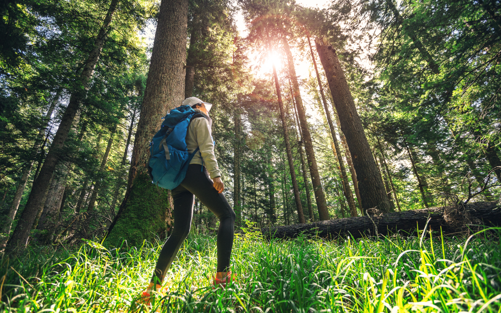 How trees help you stress less mindful