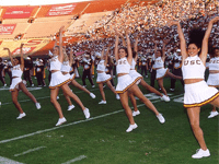 A group of cheerleaders in matching white and yellow uniforms with 