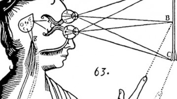 The Magic of Mindfulness