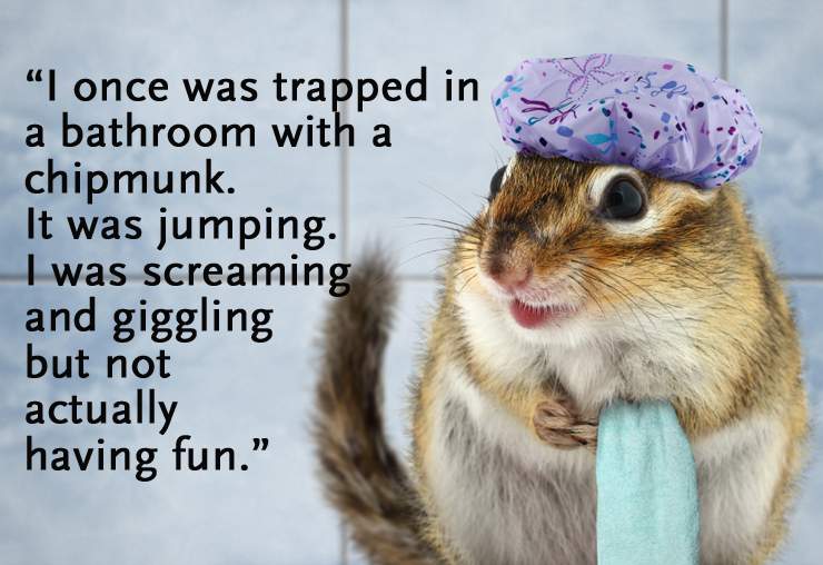 chipmunk with shower cap and towel