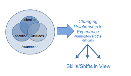 Shapiro S.L., Carlson, L.E., Astin, J.A., Freedman, B, Mechanisms of Mindfulness, Journal of Clinical Psychology, 62 (3), 373 - 386