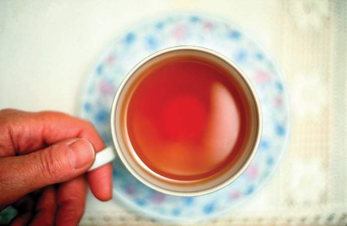 person holding a cup of tea