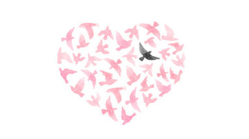 Two Ways Forgiveness Helps You Through Tough Times a black bird in the flock