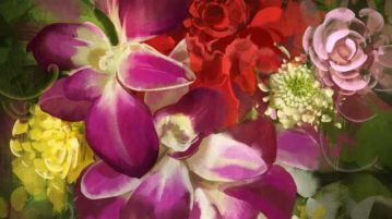 How to Care Deeply Without Burning Out compassion
