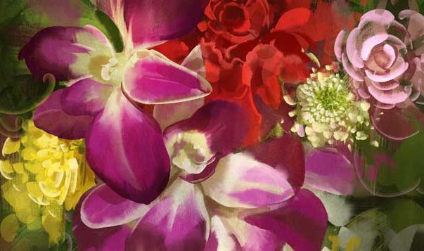How to Care Deeply Without Burning Out compassion