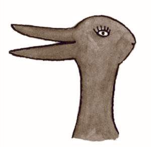 DuckOrRabbit1