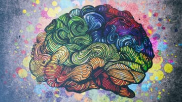 What the Brain Reveals about Gratitude