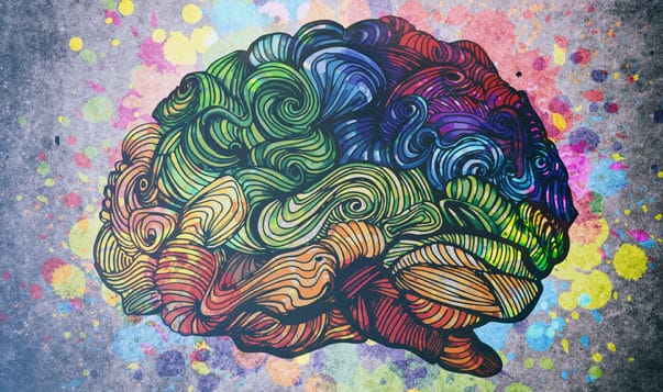 What the Brain Reveals about Gratitude