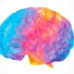 How Meditation Protects the Aging Brain from Decline