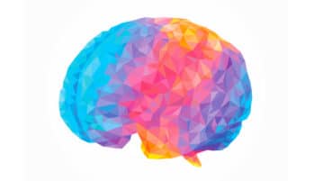 How Meditation Protects the Aging Brain from Decline