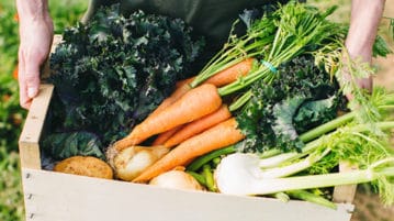 Food as Medicine: Gardening for Health