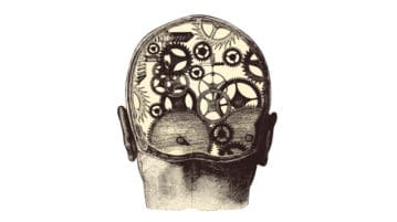 The Science of Taming the Wandering Mind