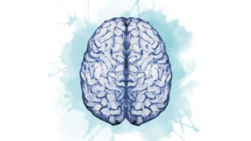 Meditation’s Effects May Differ by Type of Practice