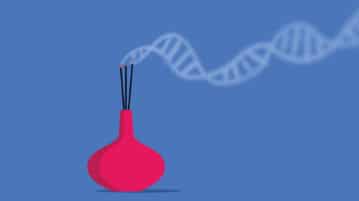 Can Meditation Change Your Genes?