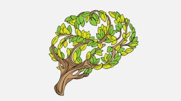 How Grassroots Mindfulness Fuels Mental Health Support tree and leaves in the form of a brain