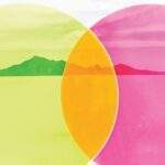 5 Rituals of Highly Creative People hands holding colored discs