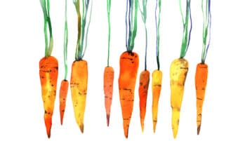 Four Ways to Nourish Happiness with Mindful Eating watercolor of carrotts