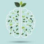 The Brain Goes into “Repair Mode” When People Think We’re Not Competent illustration of brain with green leaf inside