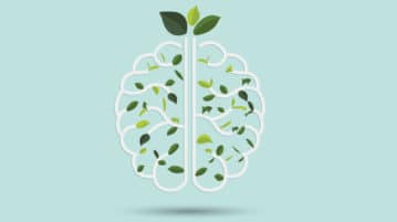 The Brain Goes into “Repair Mode” When People Think We’re Not Competent illustration of brain with green leaf inside