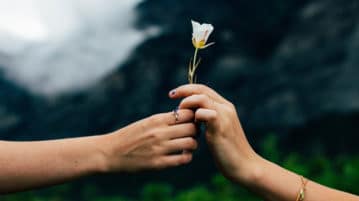How Gratitude Changes You and Your Brain hands exchanging a flower