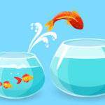 Underachiever? Overachiever? Find the Right Balance illustration goldfish escaping from a bowl into a larger one