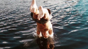 School’s Out for the Summer. Why Aren’t Teens More Chill? teen jumps headfirst into water