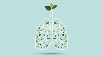The Breathscape Practice for Cultivating Mindfulness illustration of lungs