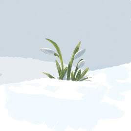 watercolor: plant growing out of the snow