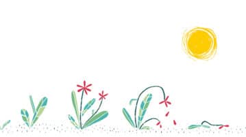 Why Change is Your Greatest Ally stages of flower growth blooming and dying in the sun