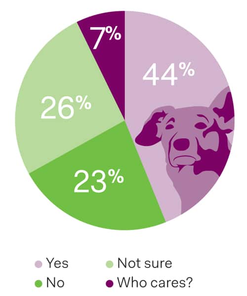 Graph: Do you think dogs get embarrassed? 