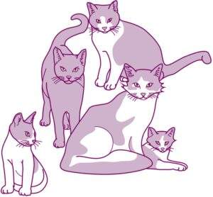 illustration of cats