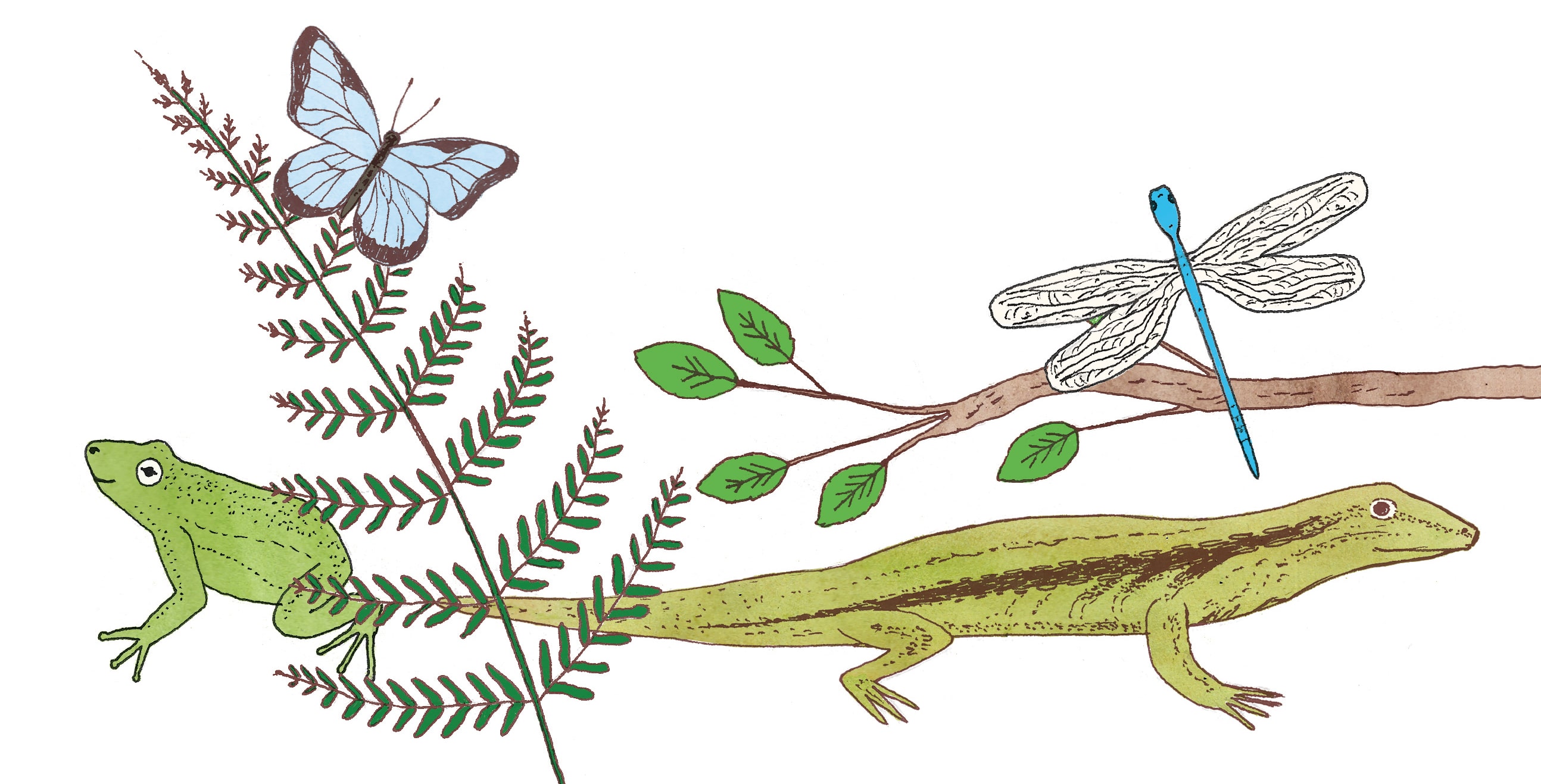 illustration of lizard and branches