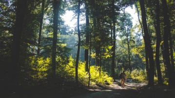 A Daily Mindful Walking Practice man walks through forest