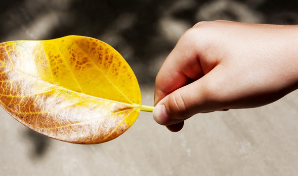The ABCs of STOP: Three Short Mindful Breaks for Your Day child with leaf in hand